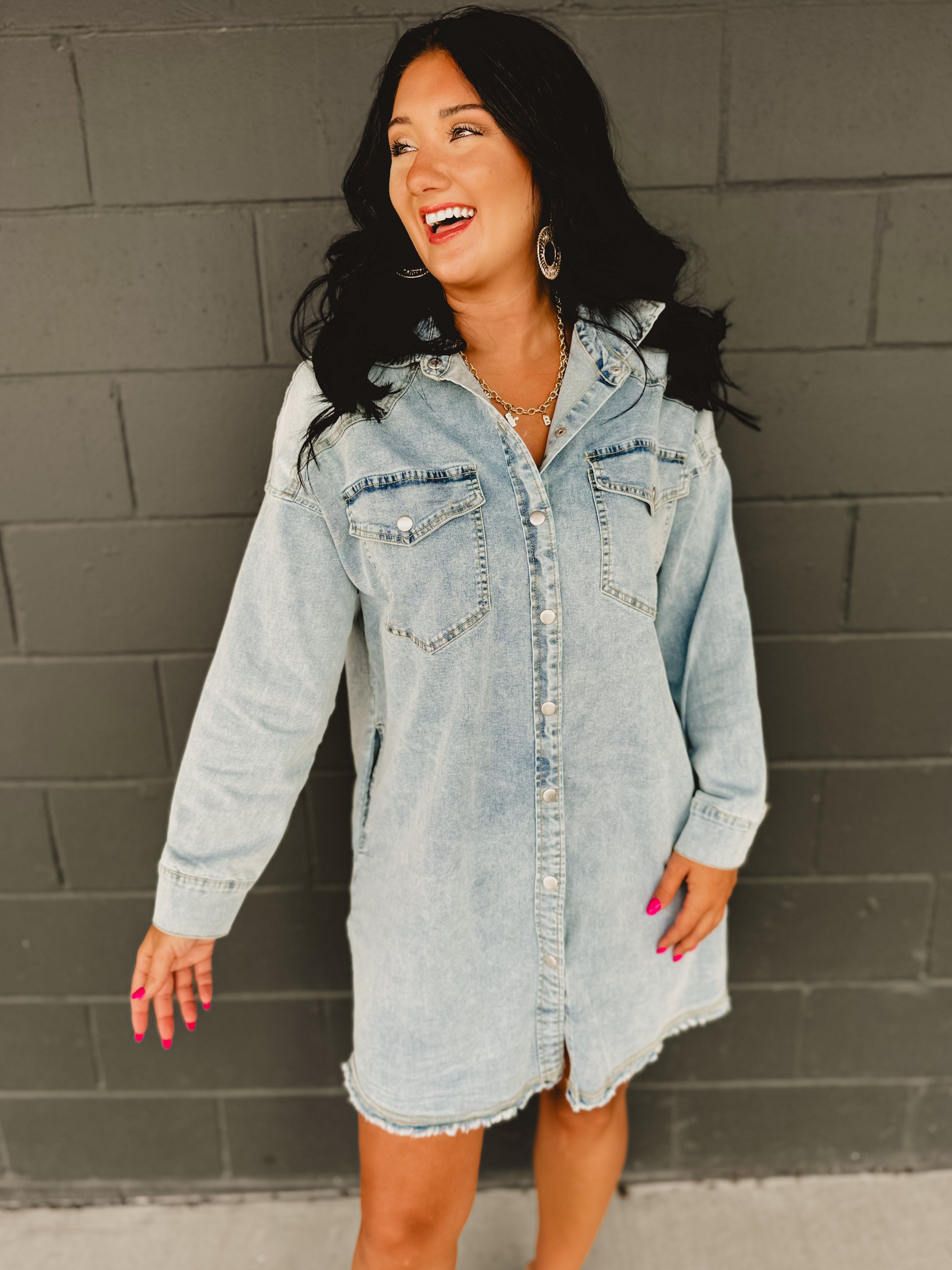 Light Denim Button Down Long Sleeve Dress