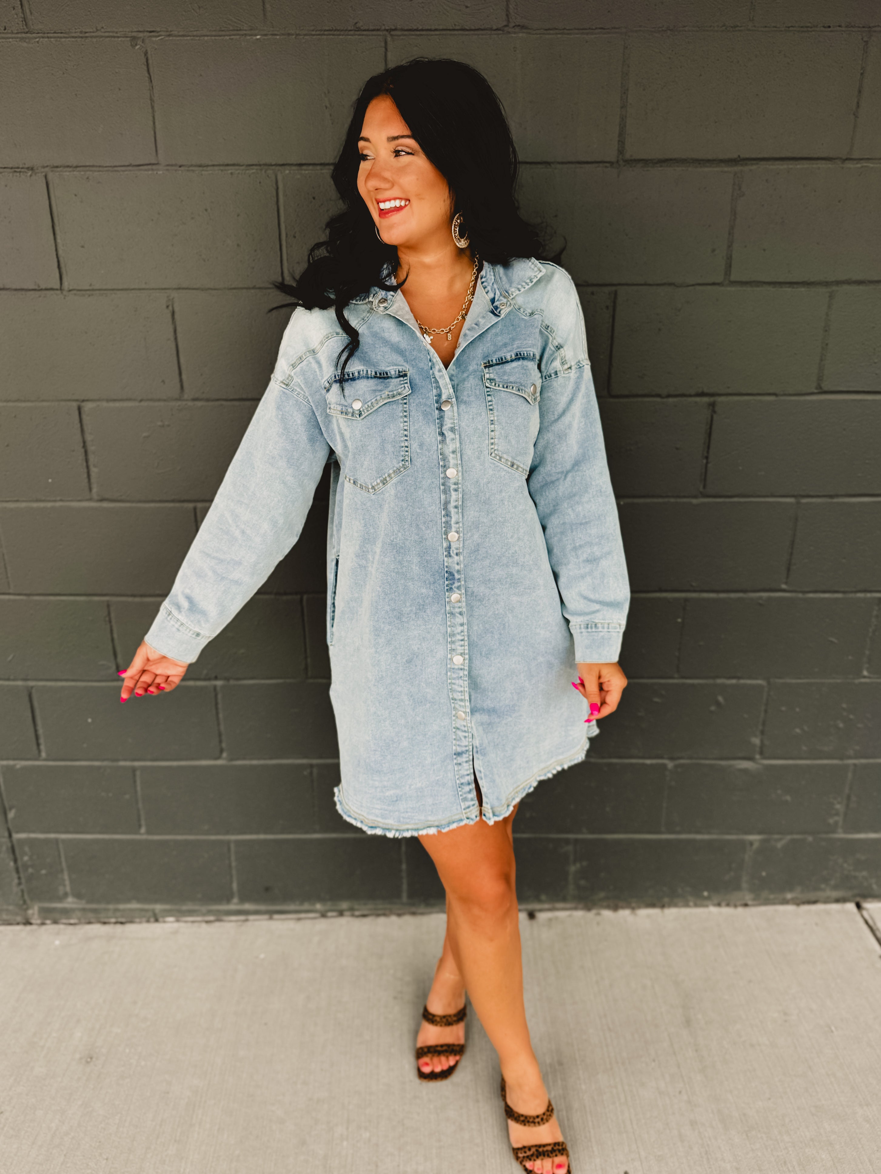 Light Denim Button Down Long Sleeve Dress